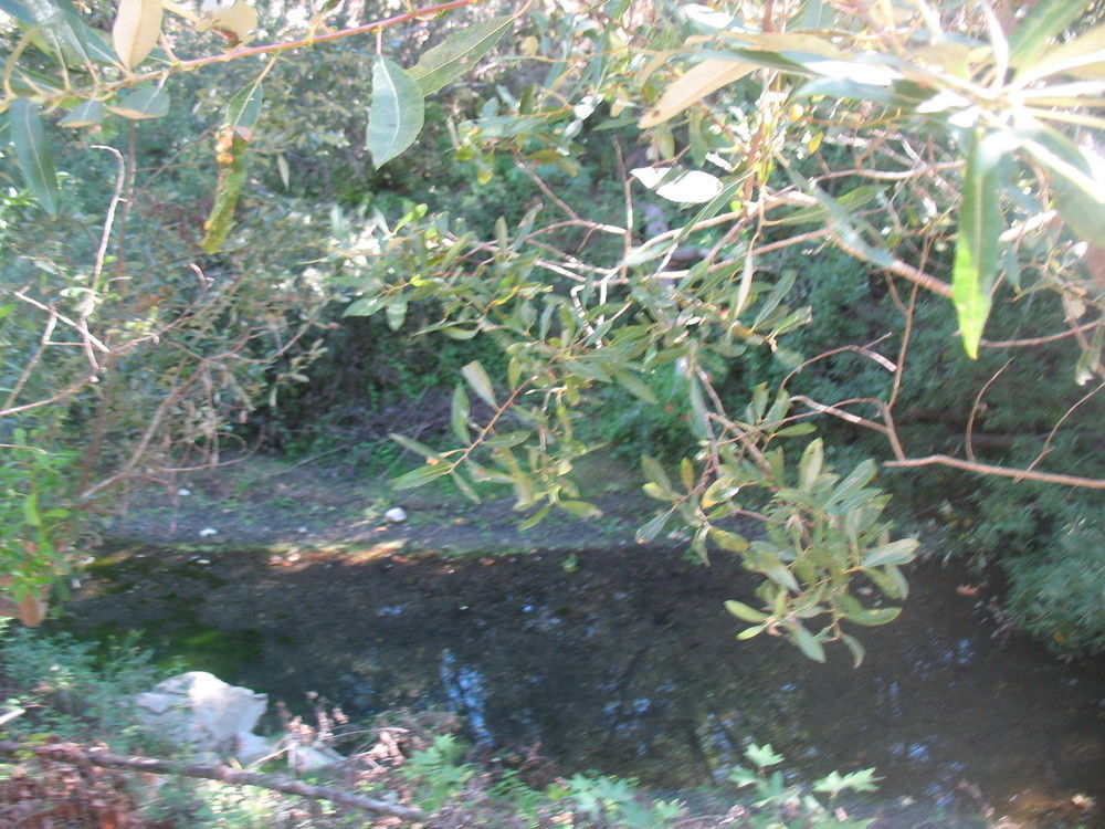 Creekside Inn Downtown Cambria Luaran gambar